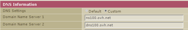 Мы заходим в консоль и редактируем раздел Информация о DNS, чтобы он выглядел так:
